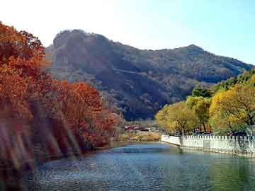 水蛭养殖基地，莱芜新闻