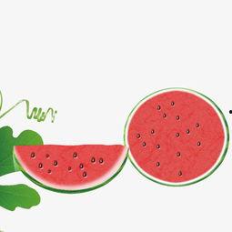 娱乐吃瓜酱素材库下载,吃瓜酱素材库大揭秘,明星幕后故事全收录 第3张 娱乐吃瓜酱素材库下载,吃瓜酱素材库大揭秘,明星幕后故事全收录 第3张